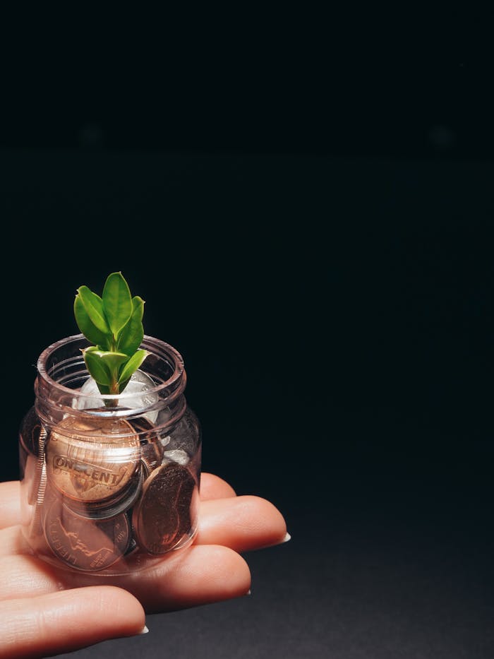Home A small plant growing in a glass jar filled with coins, represents financial growth and sustainability.